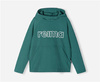 Hoodie, Lupaus Pine green, Unisex