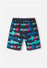 Shorts, Papaija Black, Boys