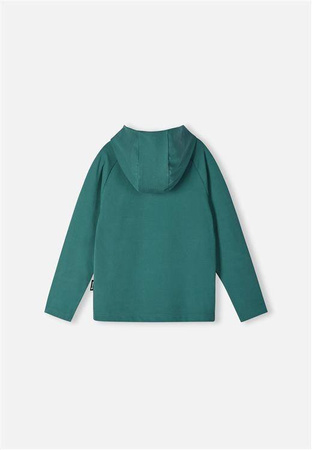 Hoodie, Lupaus Pine green, Unisex
